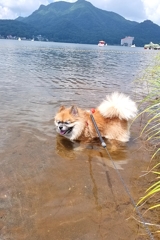 榛名湖で水浴び