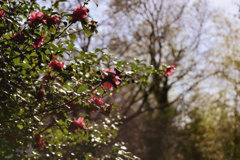 何でもない日常