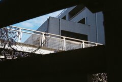 寄り道