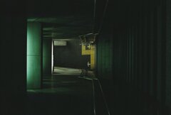 緑