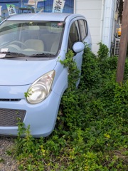 放置自動車？