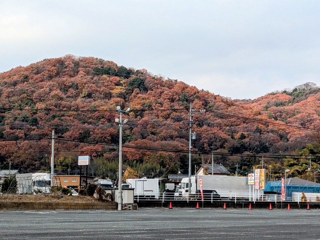 私の街の里山です