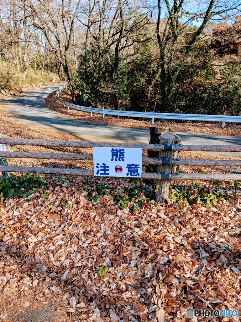 ああ・・・とうとう警告が・・・その２