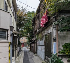 路地