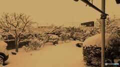 久々の降雪　セピア編