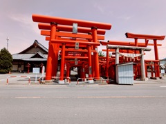 たくさんの赤い鳥居