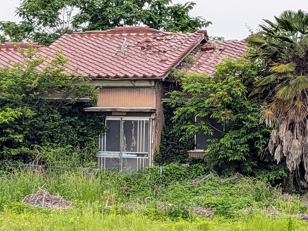 朽ちる〜自然に帰る