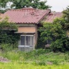 朽ちる〜自然に帰る