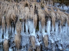 氷柱　０３