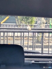 車のバックミラーに写ったもの