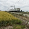 麦畑を疾走する電車