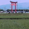 県道にかかる鳥居