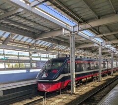 MLBカラーの特急りょうもう号