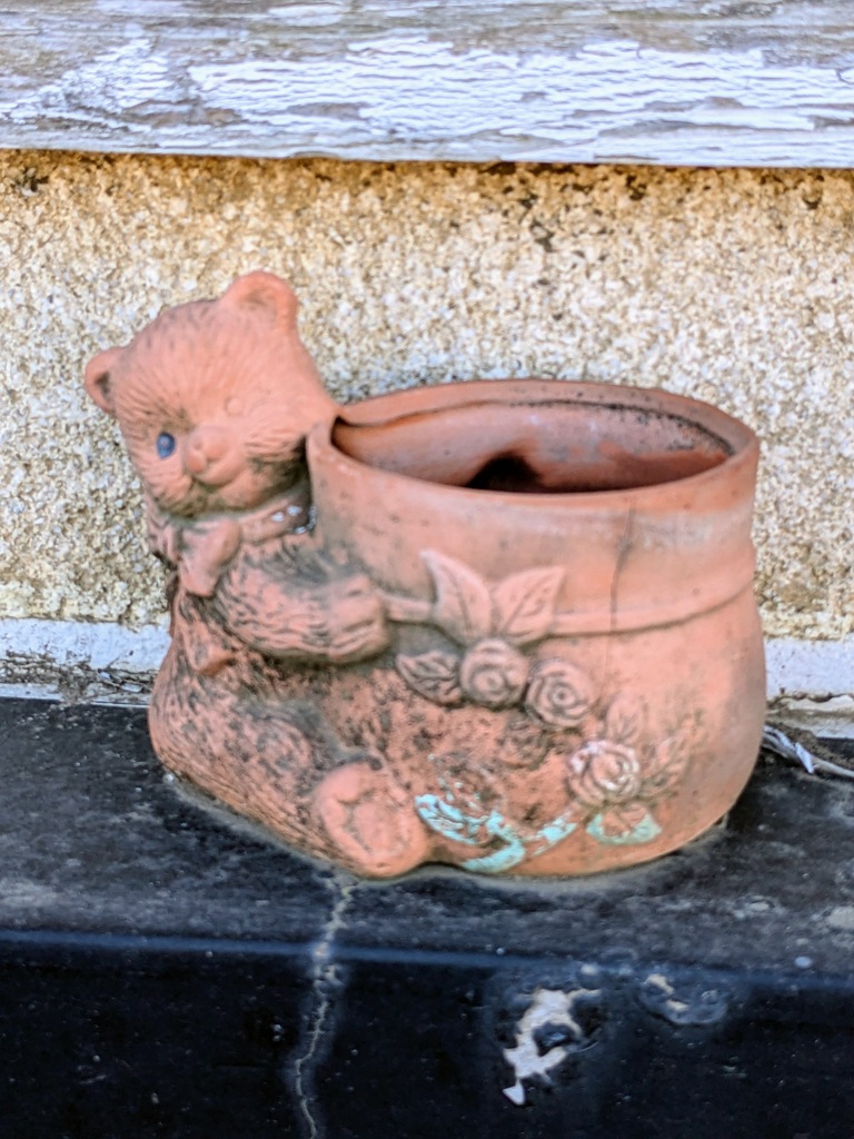 クマさんとカップ