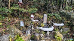 出流原弁天池　５