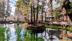 出流原弁天池　２