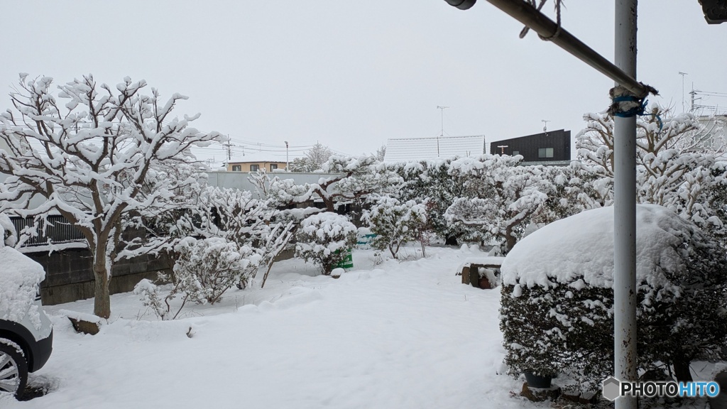 久々の降雪