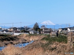 冠雪の浅間山　３