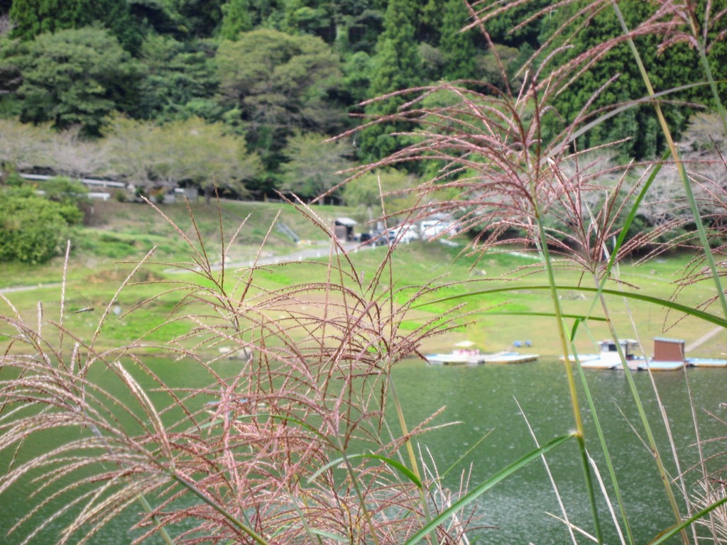 桐生川ダムのほとり
