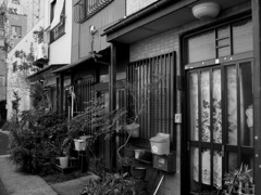 上野の長屋　モノクロ版