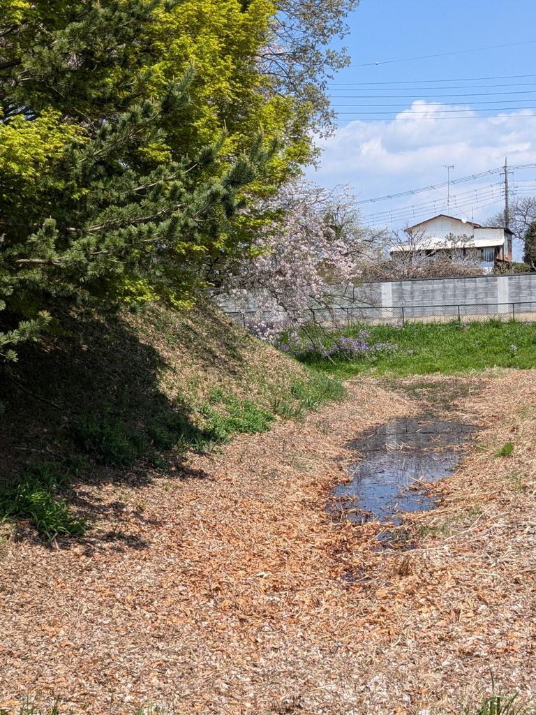 江田館　その２