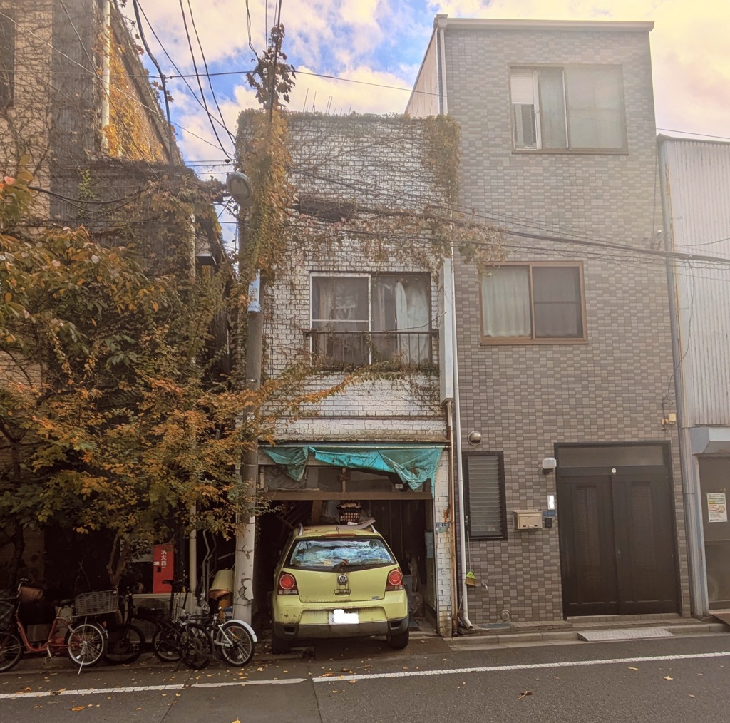 不思議な雰囲気なので