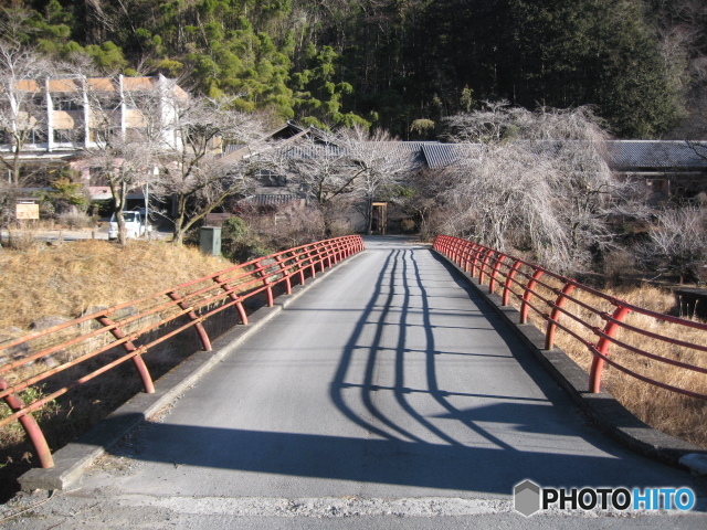 氷柱のカーテンの向こう