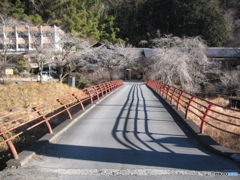 氷柱のカーテンの向こう