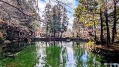 出流原弁天池　1