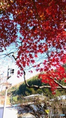 わたらせ渓谷鉄道　沢入駅２