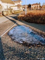 水たまりが凍る寒さ