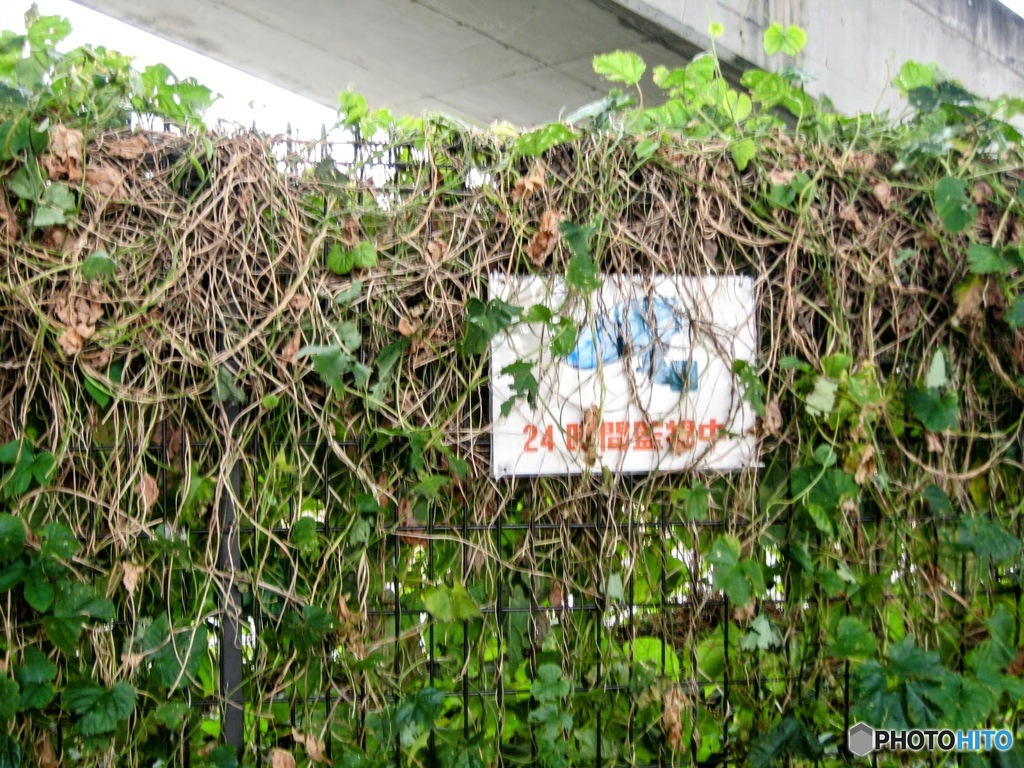 無人駅周辺にあったもの　１