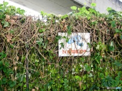 無人駅周辺にあったもの　１