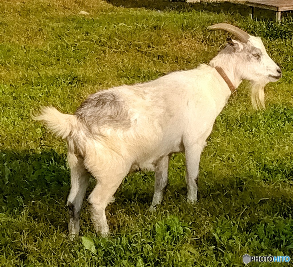 出会いから一年半後の君