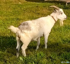 出会いから一年半後の君