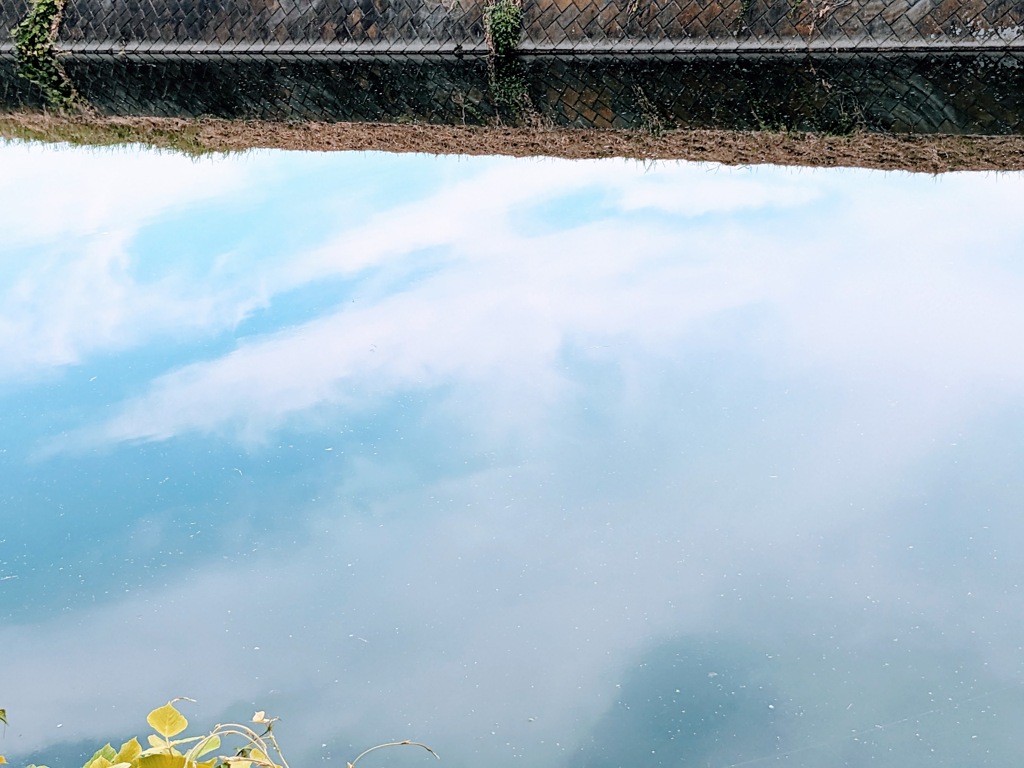 水面に映える青空