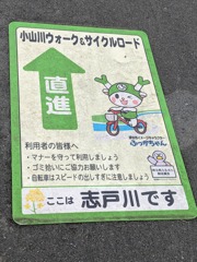 チャリに乗ったふっかちゃん