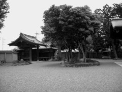 国指定文化財　中島邸０３