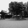 国指定文化財　中島邸０３