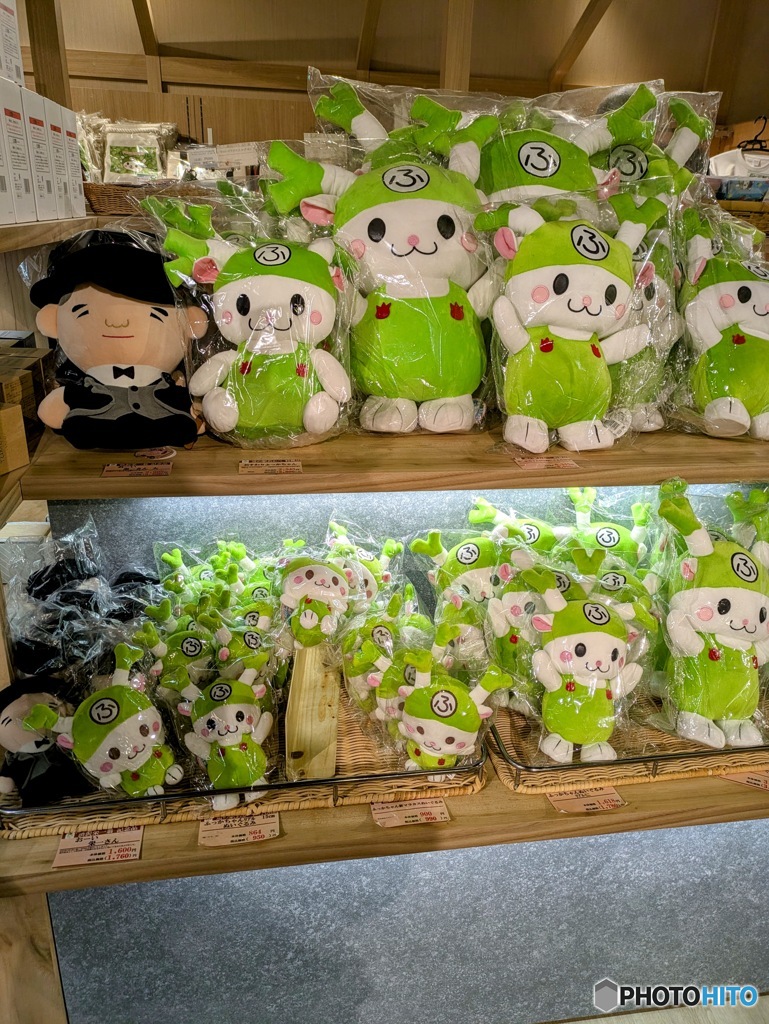 ふっかちゃんがいっぱい