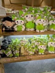 ふっかちゃんがいっぱい