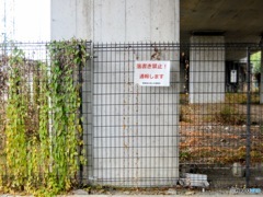 無人駅周辺にあったもの　３