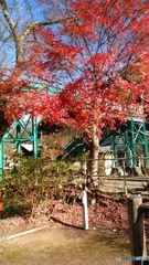 わたらせ渓谷鉄道　沢入駅の紅葉