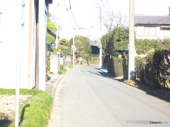 埼玉県道３５６号線　１