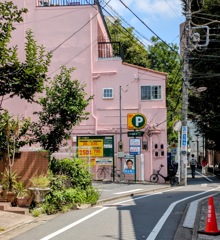 THE PINK HOUSE