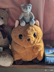 自宅のぬいぐるみ
