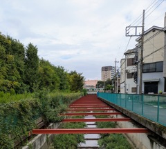 暗渠化しそこねた？