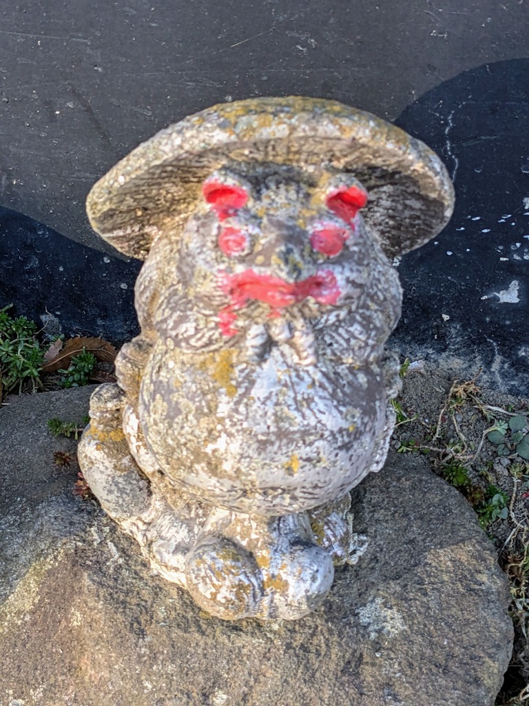 たぬきですよね？