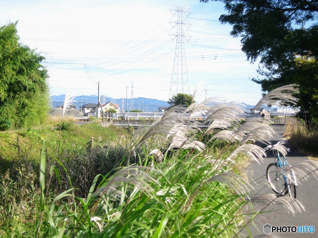 秋のサイクリングロード２