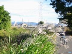 秋のサイクリングロード２